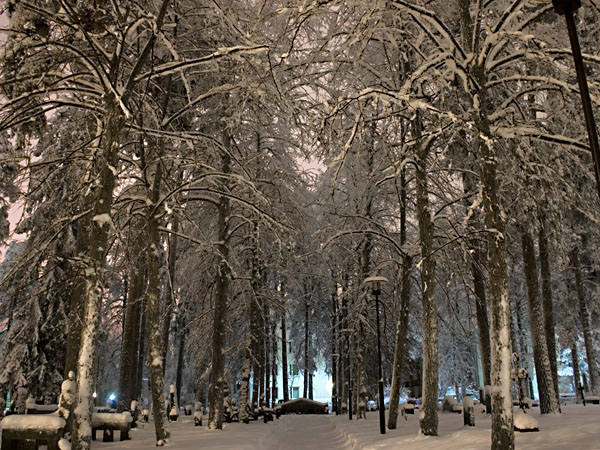 Keskik&auml;yt&auml;v&auml;